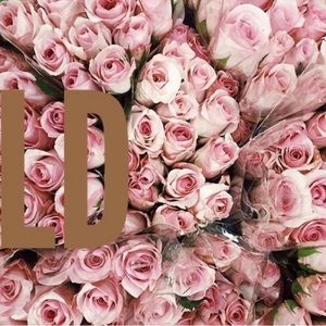 ⭐️ items below this line have sold ⭐️